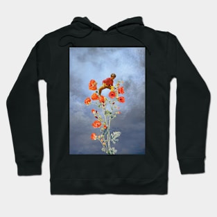 The Climber Hoodie